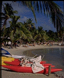 A view of the palm-shaded beach at Bas du Fort.