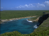 Pointe de la Grande Vigie, Gaudeloupe, French West Indies.