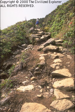 The rugged trail up La Soufriere.