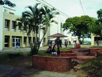 The campus of the university.