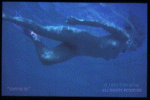 Photo of a woman swimming 
under water.